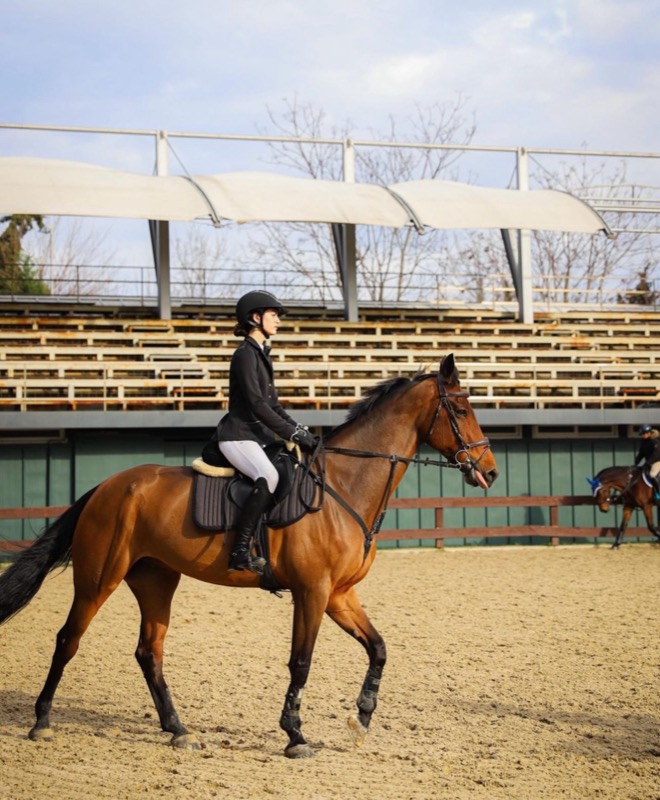 A rider on a bay horse walking in an arena with empty stands behind