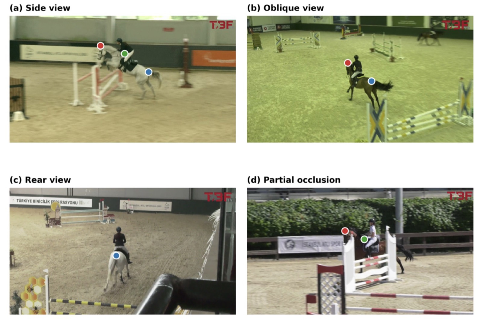 Four example frames showing the tracking model working from side, oblique, rear, and partially occluded views